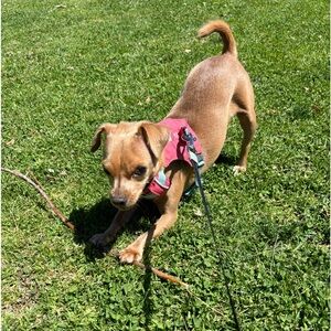 Meet your Posher, Hannah